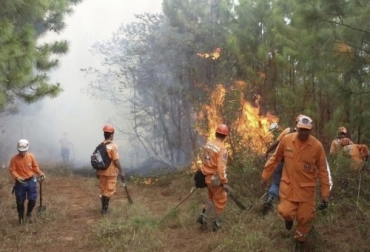 Más de 400 municipios están bajo alerta roja, naranja o amarilla de incendios por cuenta del intenso verano. Foto: diariodelcauca.com.co Ganadería, ganadería colombia, noticias ganaderas, noticias ganaderas colombia, CONtexto ganadero, incendios, Incendios Forestales, Instituto de Hidrología, Meteorología y Estudios Ambientales, Ideam, incendios Colombia 2020, alertas por verano, incendios Colombia