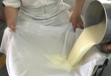 Los asistentes aprenderán las recetas con base en la leche de vaca, donde también conocerán las propiedades de líquido obtenido de vacas Pardo Suizo y Braunvieh. Foto: Cortesía Asopardo, pardo suizo, Braunvieh, actividades de Asopardo, Asociación Colombiana de Criadores de Ganado Pardo Suizo & Braunvieh, curso teórico práctico, derivados lácteos, preparación de quesos, Universidad Agraria de Colombia, cursos Asopardo, CONtexto ganadero, ganaderos colombia, noticias ganaderas colombia