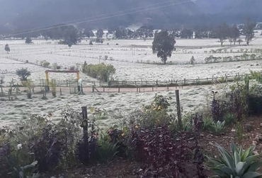 Los predios del Altiplano cundiboyacense como Guatavita se han visto afectados por las heladas, así como otros departamentos del país. Foto: Boyacá Noticias Ganaderos Guatavita 2020, Asociación de Cooperativas Lecheras de Guatavita, Cooperativa de Lecheros de Guatavita, precio leche, precio pagado al productor, Ayudas del gobierno, Colega, Guatavita, cundinamarca, asociatividad, ejemplo de cooperativismo, Asociación de Ganaderos, producción de leche de Guatavita, Buenas Prácticas Ganaderas, CONtexto ganadero, ganaderos colombia, noticias ganaderas colombia