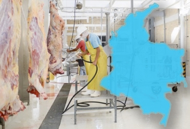 Estas plantas se encargan de enviar carne a los municipios que no cuentan con una planta de beneficio propia. Foto: laopinion.com.co - sevenelephants.co Sacrificio bovino, listado de viabilidad técnica autorizada, vencidas o en proceso de evaluación para el abastecimiento de carne y productos cárnicos comestibles, plantas beneficio bovinos, Decreto 1500 2019, Contexto ganadero decreto 1500, decreto 1500 2019, estatus decreto 1500, Decreto 1500 de 2007, estatus plantas de sacrificio 2019, vigencia 3 años decreto 1500 plantas de beneficio, demoras decreto 1500, estado plantas de sacrificio del país, Invima, panorama plantas de sacrificio, CONtexto ganadero, g