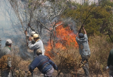 Las conflagraciones han afectado a 59 municipios. Foto: Gobernación de Boyacá. Ganadería, ganadería colombia, noticias ganaderas, noticias ganaderas colombia, CONtexto ganadero, Boyacá, heladas Boyacá, incendios forestales boyacá, calamidad pública boyacá, Gobernación de Boyacá, agro boyacá