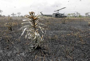 Para contrarrestar las llamas, militares de la Fuerza de Tarea Omega y funcionarios de Parques Naturales realizaron acciones con helicópteros que lanzaron agua para apagar el incendio. Foto: EFE - La Patria. Ganadería, ganadería colombia, noticias ganaderas, noticias ganaderas colombia, CONtexto ganadero, Fiscalía, parques naturales Tinigua y Los Picachos, Meta, Caquetá y Guaviare, Gobernador del Caquetá, Arnulfo Gasca Trujillo, Procuraduría, Contraloría, Defensoría del Pueblo, Presidencia de la República, inventario ganadero, Juan Guillermo Zuluaga, bosque nativo, quemas