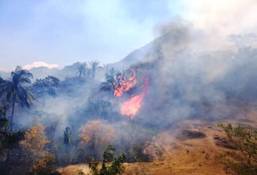 Las conflagraciones han afectado seriamente al Carmen de Apicalá y Suárez. Foto: ondasdeibague.com Ganadería, ganadería colombia, noticias ganaderas, noticias ganaderas colombia, CONtexto ganadero, incendios forestales Instituto de Hidrología Meteorología y Estudios Ambientales, Huila, Tolima, Lérida, Purificación, Planadas, Suarez, Melgar, Natagaima, murillo, secretaría de Ambiente, Gobernación del Tolima