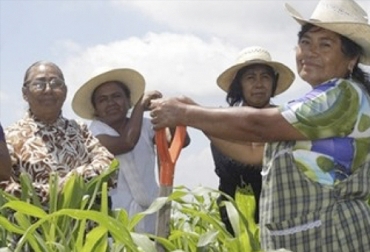 Este espacio servirá para conocer los casos de éxito de mujeres que han aportado al desarrollo del sector agropecuario. Foto: agronegocios.uniandes.edu.co agroshow, Primer Encuentro Nacional de las Mujeres en el Agro, mujeres del campo, mujeres agro, sector agropecuario, sector agroindustrial, Tecnología campo Colombia, Sector rural, ruralidad Colombia Innovación del campo, innovación sector agropecuario, Agroshow 2020, Agroshow Pajonales, Agroshow Pajonales 2020, noticias Agroshow Pajonales, Agroshow Pajonales cifras, Agroshow Pajonales colombia, CONtexto ganadero, ganaderos colombia, noticias ganaderas colombia