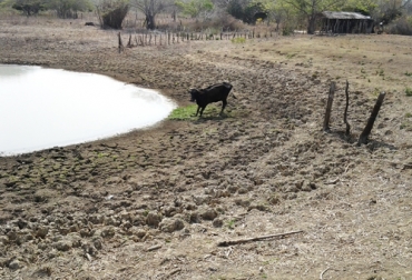 Ante la sequía que afronta el Atlántico, desde Asoganorte se propone que el gobierno subsidie la energía para quienes tienen riego. Foto: diariolalibertad.com Asoganorte, riego, subsidio, Silos, comida, energia, finca, productor, Minagricultura, gremio, sostenibilidad, negocio, Ganadería, ganadería colombia, noticias ganaderas colombia, CONtexto ganadero.