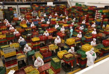 La iniciativa beneficiará inicialmente a 1.200 productores. Foto: Gobernación de Boyacá. ganadería, ganadería colombia, noticias ganaderas, noticias ganaderas colombia, contexto ganadero, Boyacá nos Alimenta, seguridad y soberanía alimentaria, gobernador de Boyacá, Ramiro Barragán, COVID-19 Coronavirus,