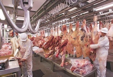 El sector cárnico nacional ya empezó con diálogos y negociaciones para elevar los envíos de carne al exterior. Foto: apertura.com Primer mes de recuperación estatus sanitario, estatus sanitario Colombia 2020, Colombia fiebre aftosa 2020, Recuperación estatus sanitario, certificación país libre de fiebre aftosa con vacunación, exportación carne, exportación ganado, Fiebre aftosa, estatus sanitario, pérdidas, focos, zona de exportación, OIE, suspensión del estatus, ganaderos colombia, CONtexto ganadero, noticias ganaderas colombia