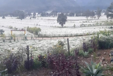 El clima ha dejado falta de pastos y de comidas para los ganados en Boyacá. Foto: boyacaradio.com ganadería, ganadería colombia, ganadería colombiana, contexto ganadero, noticias ganaderas, noticias ganaderas colombia, boyacá, ganaderos boyacá, crisis boyacá, covid 19, alza productos, alza del dolarr, lecherías especializadas, ganaderos, ganaderos colombia