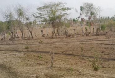 Desde diciembre, productores de San Jorge no reciben lluvias en sus fincas. Foto: panoramadelsanjorge.com.co ganadería, ganadería colombia, ganadería colombiana, contexto ganadero, noticias ganaderas, noticias ganaderas colombia, productores san jorge, ganaderos san jorge, verano san jorge, sequía san jorge, falta de comida, falta de comida san jorge, crisis sanitaria, ganaderos, ganaderos colombia