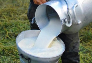 La crisis actual tiene seriamente afectados a los productores que no venden su leche en canales formales. Foto: edairynews.com Ganadería, ganadería colombia, noticias ganaderas, noticias ganaderas colombia, CONtexto ganadero, leche, queso, leche huila, lecheros huila, queso huila, Comité de Ganaderos del Huila, Luceny Muñoz Bermeo, ganadería huila, Diario del Huila