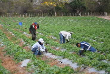 La propuesta busca que el departamento se convierta en una potencia agroindustrial. Foto: Gobernación del Atlántico. ganadería, ganadería colombia, noticias ganaderas, noticias ganaderas colombia, contexto ganadero, atlántico, reactivación económica en atlántico, el campo a toda marcha, el campo a toda marcha atlántico, elsa noguera, gobernación del atlántico,