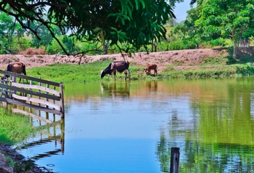 El proyecto apunta a que los productores y ganaderos tengan agua necesaria para sus actividades. Foto: Gobernación del Atlántico. Ganadería, ganadería colombia, noticias ganaderas, noticias ganaderas colombia, CONtexto ganadero, jagüeyes, Gobernación del Atlántico, secretario de Desarrollo Económico, Miguel Vergara, construcción de jagüeyes, jagüeyes en el atlántico, reactivación económica atlántico, COVID-19, covid-19 colombia