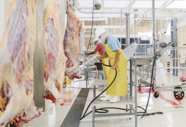 En total, son 432 frigoríficos que están realizando las actividades de beneficio, desposte y desprese de animales. Foto: laopinion.com.co Decreto 1500 últimos datos, sacrificio bovino, plantas beneficio bovinos, Decreto 1500 abril 2020, Contexto ganadero decreto 1500, decreto 1500 2020, estatus decreto 1500 2020, decreto 1500 de 2007, estatus plantas de sacrificio 2020, vigencia decreto 1500 plantas de beneficio, demoras decreto 1500, estado plantas de sacrificio del país, Invima, panorama plantas de sacrificio, coronavirus, COVID-19, cuarentena, Ganadería, ganadería colombia, noticias ganaderas, noticias ganaderas colombia, CONtexto ganadero