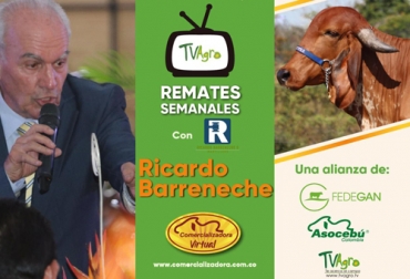 A la gran alianza de Fedegán, Asocebú y Tv Agro para sacar adelante el formato de comercialización de ganado virtual, se suma el martillo Ricardo Barreneche. Foto: Cortesía ricardo barreneche, Los Martilleros, Comercializadora Virtual, Genética para la vida, Semex Colombia, remates virtuales, subastas colombia, venta de ganado Colombia, Venta de ganado, venta de ganado en Colombia, Federación Colombiana de Ganaderos, fedegan, la Asociación Colombiana de Criadores de Ganado Cebú, Asocebú, el canal TV Agro, coronavirus Colombia, coronavirus, COVID-19, cuarentena, Ganadería, ganadería colombia, noticias ganaderas, noticias ganaderas colombia, CONtexto ganadero