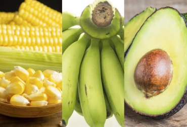 El interés es fortalecer estas 3 cadenas y llevarlas a niveles agroindustriales. Foto: freepik.es/jcomp - freepik.es/mrsiraphol - freepik.es/dashu83 Ganadería, ganadería colombia, noticias ganaderas, noticias ganaderas colombia, CONtexto ganadero, Tolima, Plan de Abastecimiento del Centro del país, gobernador del Tolima, Ricardo Orozco Valero, agro tolima