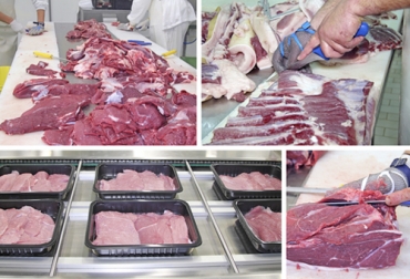Los acondicionadores son establecimientos que reciben las canales de frigoríficos habilitados para el beneficio de vacunos. Foto: redjurista.com Requisitos para un acondicionador de carne, acondicionador de carne Invima, Decreto 1500 últimos datos, sacrificio bovino, plantas beneficio bovinos, Decreto 1500 abril 2020, Contexto ganadero decreto 1500, decreto 1500 2020, estatus decreto 1500 2020, decreto 1500 de 2007, Invima acondicionadores de carne en Colombia, coronavirus, COVID-19, cuarentena, Ganadería, ganadería colombia, noticias ganaderas, noticias ganaderas colombia, CONtexto ganadero