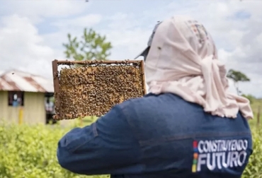 La miel de abejas producida en Arauca ahora podrá empezar a ser disfrutada en Ecuador donde empezó a ser exportada. Foto: llanera.com miel de abejas, Arauca, Ecuador, exportaciones, Alianzas Productivas, apicultura, Tame, productores, diversificación, insectos, comercialización, Ganadería, ganadería colombia, noticias ganaderas colombia, CONtexto ganadero