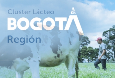 Para los funcionarios encargados de coordinar las acciones de las 17 iniciativas de clúster, incluyendo el Clúster Lácteo, se deberían realizar más estrategias de esta índole en otras regiones del país. Foto: ccb.org.co - Fedegán clúster lácteo, clúster lácteo Bogotá, avances Clúster Lácteo Bogotá, Clúster Lácteo Bogotá 2020, Región de Bogotá, Sabana de Bogotá, producción leche Bogotá, producción leche Sabana de Bogotá, acopio leche, Cámara de Comercio Bogotá, fedegan, sector ganadero, leche Colombia, coronavirus, coronavirus Colombia, COVID-19, cuarentena, Ganadería, ganadería colombia, noticias ganaderas, noticias ganaderas colombia, CONtexto ganadero