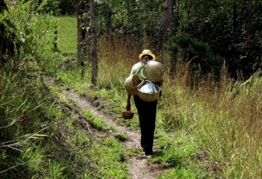 La gestión de la Corporación ha consistido en crear 3 tipos de anchetas con productos como frutas, granos, derivados lácteos, huevos, café, entre otros productos. Foto: Corpochivor. Ganadería, ganadería colombia, noticias ganaderas, noticias ganaderas colombia, CONtexto ganadero, Corpochivor, de lo nuestro para los nuestros corpochivor, campesinos boyacá, producción local boyacá, anchetas de lo nuestro para los nuestros, plinio forero dueñas