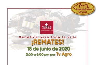 El primer remate de Comercializadora Virtual, organizado por Semex Colombia, se realizará el 18 de junio. Foto: Cortesía Genética para la vida, Semex Colombia, remate Semex 18 de junio de 2020, remates virtuales, subastas colombia, venta de ganado Colombia, venta de ganado cebú en Colombia, remates de ganado cebú, Federación Colombiana de Ganaderos, fedegan, la Asociación Colombiana de Criadores de Ganado Cebú, Asocebú, el canal TV Agro, coronavirus, coronavirus Colombia, COVID-19, cuarentena, Ganadería, ganadería colombia, noticias ganaderas, noticias ganaderas colombia, CONtexto ganadero