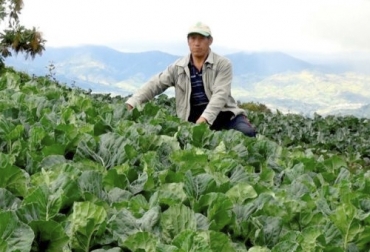 La gobernación de Nariño le apuesta al sector agropecuario en su plan de desarrollo de la presente administración y por eso tiene grandes metas. Foto: pagina10.com plan de desarrollo, Nariño, cuenca lechera, lácteos, productividad, cuy, sector agropecuario, PIB departamental, oferta agropecuaria, papa, tomate, arveja, Cadena Láctea, Ganadería, ganadería colombia, noticias ganaderas colombia, CONtexto ganadero