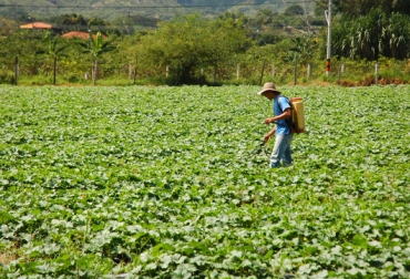 El objetivo es que los productores vallecaucanos reciban el dinero que viene entregando la cartera agropecuaria. Foto: Gobernación del Valle. Ganadería, ganadería colombia, noticias ganaderas, noticias ganaderas colombia, CONtexto ganadero, Subsidios ganaderos, subsidios productores, subsido transporte, fedegan, programas fedegán, transporte productos agrícolas