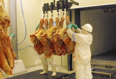 Los ganaderos de la zona de comercio están a la expectativa para reactivar las iniciativas que impulsen la producción y comercialización de carne bovina. Foto: larazon.co clúster cárnico del Caribe, futuro clúster cárnico del Caribe, beneficios zonificación sector ganadero, beneficio zonificación exportaciones, zona exportadora, zona comercial, OIE, Trazabilidad, mejoramiento genético, protocolos sanitarios, empresarios exportadores, exportaciones, comercio exterior, mercados internacionales carne, mercados nacionales carne, Fiebre aftosa, coronavirus, coronavirus Colombia, COVID-19, cuarentena, Ganadería, ganadería colombia, noticias ganaderas, noticias ganaderas colombia,