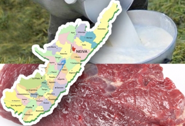 La cadena cárnica y láctea del Huila piensa trabajar unida para identificar falencias y cerrar brechas que permitan ganar en competitividad. Foto: edairynews.com - redhuila.com - freepik - freepik.es Huila, ganaderos, carne, leche, Gobernación, cadena productiva, Secretaría de Agricultura, gremios, sector agropecuario, Cierre de Brechas, impacto regional, Ganadería, ganadería colombia, noticias ganaderas colombia, CONtexto ganadero