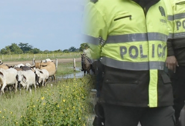Un trabajo mancomunado entre productores, policía, ejército, fiscalía, gobernación de Casanare,entre otros, permitirá trazar una hoja de ruta que le devuelva la tranquilidad a la región. Foto: laschivasdelllano.com - Casanare 24 Horas Casanare, hoja de ruta de seguridad, Abigeato, Robo, carneo, secuestro, asesinato, delincuentes, Comité de Ganaderos, Yopal, Policía, Ejército, Fiscalía, mesas de trabajo, Ganadería, ganadería colombia, noticias ganaderas colombia, CONtexto ganadero