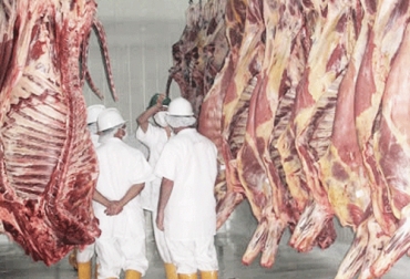 En los meses de cuarentena, ninguna planta de beneficio ha sido certificada por el Invima bajo el Decreto 1500 de 2007. Foto: inversioneshrsehijos.com Decreto 1500 últimos datos, sacrificio bovino, plantas beneficio bovinos, Decreto 1500 junio 2020, Contexto ganadero decreto 1500, decreto 1500 2020, estatus decreto 1500 2020, decreto 1500 de 2007, estatus plantas de sacrificio 2020, vigencia decreto 1500 plantas de beneficio, demoras decreto 1500, estado plantas de sacrificio del país, Invima, panorama plantas de sacrificio, coronavirus, coronavirus Colombia, COVID-19, cuarentena, Ganadería, ganadería colombia, noticias ganaderas, noticias ganaderas colom