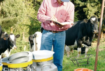 Entre los cambios al proceso de certificación de BPG para producción de leche, se destaca la ampliación de la vigencia de dos a tres años. Foto: Fedegán Buenas Prácticas Ganaderas, BPG ganaderos Colombia, BPG Ganaderías Leche Colombia, Ganaderos Colombia certificación BPG, certificación Buenas Prácticas Ganaderas Colombia, BPG Colombia 2020, BPG 2020, BPG ganaderías leche, BPG leche, BPG ICA, Instituto Colombiano Agropecuario, coronavirus, coronavirus Colombia, COVID-19, cuarentena, Ganadería, ganadería colombia, noticias ganaderas, noticias ganaderas colombia, CONtexto ganadero