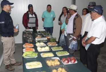 Con esta alianza, BASF y De Nuestro Campo quieren contribuir al aumento de los ingresos de más de 1500 personas en Pasca (Cundinamarca). Foto: Cortesía De Nuestro Campo, Basf, aplicación para productos a domicilio, productos agrícolas a domicilio, Ecovio, aplicación para vender frutas y verduras a domicilio, aplicaciones del campo colombiano, alianza para agricultores colombianos, ayudas para agricultores, aplicaciones ganaderas, Aplicaciones ganaderas Colombia, coronavirus, coronavirus Colombia, COVID-19, cuarentena, Ganadería, ganadería colombia, noticias ganaderas, noticias ganaderas colombia, CONtexto ganadero