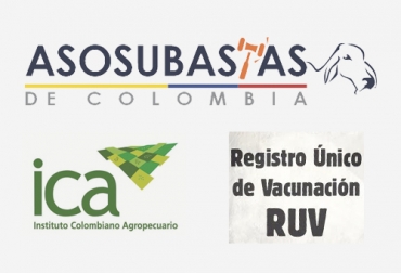 De acuerdo con Asosubastas, el único registro de predios debería hacerse con los RUV que realiza Fedegán-FNG al momento de la vacunación. Foto: asosubastas.co - Fedegán - ica.gov.co registro de predios, Registro Sanitario de Predio Pecuario, Instituto Colombiano Agropecuario, Registro de predios ganaderos, registro predios ganadería Colombia, inscripción predios ganadería Colombia, Asosubastas, Asociación Colombiana de Subastas, Registro Único de Vacunación, coronavirus, coronavirus Colombia, COVID-19, cuarentena, Ganadería, ganadería colombia, noticias ganaderas, noticias ganaderas colombia, CONtexto ganadero