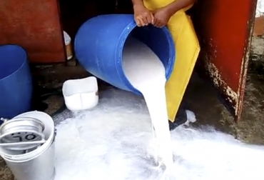 Desde finales de julio, varios productores se han visto obligados a desechar la leche, tal como muestra este video tomado en esas fechas. Foto: Cortesía Enlechada Antioquia 2020, leche antioquia, Lecheros de Antioquia, precio de la leche antioquia, Ganaderos de Antioquia, Comité Departamental de Ganaderos de Antioquia, estrategia de acordeón Antioquia, comercialización de leche en Antioquia, venta formal leche Antioquia, coronavirus, coronavirus Colombia, COVID-19, cuarentena, Ganadería, ganadería colombia, noticias ganaderas, noticias ganaderas colombia, CONtexto ganadero