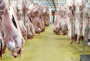 El comité del Clúster realiza una convocatoria para que los ganaderos se vinculen a este modelo y se fortalezca. Foto: agropecuariadeloriente.com Clúster Cárnico del Oriente 2020, clúster ganadero en Santander, Clúster Ganadero Cárnico del Oriente, exportación de carne, proyecto Pines, cadena cárnica en Santander, Ganaderos de Santander, Frigorífico colbeef, Fedegasán, Federación de Ganaderos de Santander, coronavirus, coronavirus Colombia, COVID-19, cuarentena, Ganadería, ganadería colombia, noticias ganaderas, noticias ganaderas colombia, CONtexto ganadero