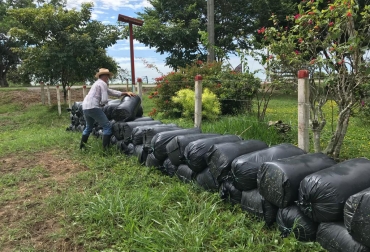 El departamento presentó una nueva propuesta para transformar 100 hectáreas de silo de maíz. Foto: Gobernación de Casanare. Ganadería, ganadería colombia, noticias ganaderas, noticias ganaderas colombia, CONtexto ganadero, Casanare, Ganaderos del Casanare, silo de maíz casanare, ruv casanare, 240 toneladas de maíz cansare, ensilaje maíz casanare