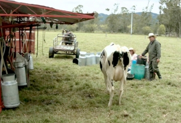 En la región lamentan las importaciones, especialmente en un momento en el que las condiciones climáticas son favorables. Foto: Selvanegra Ganadería, ganadería colombia, noticias ganaderas, noticias ganaderas colombia, CONtexto ganadero, Boyacá, leche boyacá, precio de la leche en boyacá, ganadería boyacá, fabegan boyacá, Gobernación de Boyacá