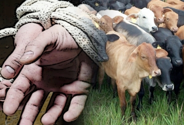 Aún se desconocen las causas del secuestro, pero Herrera si tenía amenazas al respecto. Foto: tusemanario.com - fedegan.org.co Ganadería, ganadería colombia, noticias ganaderas, noticias ganaderas colombia, CONtexto ganadero, andrés josé herrera orozco, secuestro andrés josé herrera, secuestro ganaderos, secuestro ganadero Cesar, ganaderos pailitas cesar, inseguridad pailitas cesar
