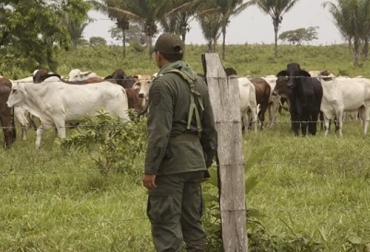Los productores de Antioquia y del Meta aseguran que los niveles de inseguridad están aumentando en el país. Foto: llanera.com ganadería, ganadería colombia, noticias ganaderas, noticias ganaderas colombia, contexto ganadero, inseguridad, inseguridad campo colombia, inseguridad finca, inseguridad en Antioquia, inseguridad en el meta, abigeato en el meta, homicidios en Antioquia, secuestros en el meta, secuestros en Antioquia, bandas delincuenciales