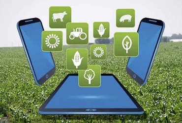 En la actualidad, hay múltiples aplicaciones para el campo creadas por colombianos. Foto: agrovoz.lavoz.com.ar Conectividad en fincas Colombia, Conectividad sector rural, Mintic, internet, acceso, Infraestructura, telecomunicaciones, obligaciones de hacer, proveedores de redes, proyectos, espectro, virtualidad, emprendimientos, galápp, aplicación smartphone, aplicación sector agropecuario, aplicación sencilla para el campo, aplicación campesinos, app Colombia, ganado bovino, ganadería bovina, Ganadería, ganadería colombia, noticias ganaderas, noticias ganaderas colombia, CONtexto ganadero, contextoganadero
