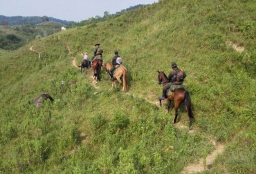 La petición del gremio es retomar un proyecto que dio frutos en el pasado. Foto: americamilitar.com Ganadería, ganadería colombia, noticias ganaderas, noticias ganaderas colombia, CONtexto ganadero, Carabineros, carabineros barrancabermeja, Coregan, Comité de Ganaderos de Puerto Berrío, Mónica Díaz, Seguridad, seguridad puerto berrío