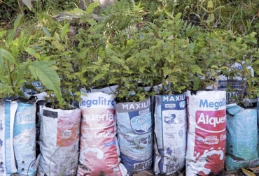 Una campaña para recolectar 20 mil bolsas vacías de leche para contribuir con el medio ambiente viene desarrollando Corpoboyacá en su zona de influencia. Foto: corpoboyaca.gov.co bolsas de leche, reciclaje, Corpoboyacá, materia prima, estrategia verde, disposición responsable, Producción, material vegetal, Ganadería, ganadería colombia, noticias ganaderas colombia, CONtexto ganadero