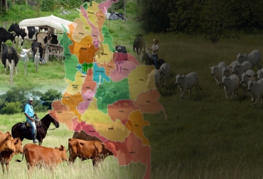 La encuesta fue adelantada por Fedegán-FNG a más de 168 000 productores y espera ampliarla a una mayor población, incluso llegando a los 610 000 ganaderos de todo el país. Foto: Fedegán Encuesta I ciclo de vacunación 2020, ganadería en colombia, encuesta de Fedegán a ganaderos en Colombia, encuesta a ganaderos del primer ciclo de vacunación 2020, caracterización del sector ganadero en Colombia 2020, encuesta a ganaderos en 2020, Federación Colombiana de Ganaderos, fedegan, ganado bovino, ganadería bovina, Ganadería, ganadería colombia, noticias ganaderas, noticias ganaderas colombia, CONtexto ganadero, contextoganadero