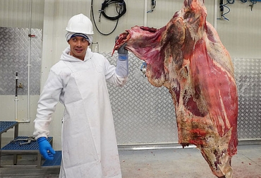 La diferenciación de cortes y un sello de calidad para la carne producida en el Urabá forman parte de un proyecto que quiere posicionar este alimento en el exterior. Foto: agenciadenoticias.unal.edu.co carne, sello de calidad, exportación, Urabá, Icta, universidad nacional, mercado nacional, mercado internacional, mar Caribe, puerto, canal, Cortes de carne, Ganadería, ganadería colombia, noticias ganaderas colombia, CONtexto ganadero.