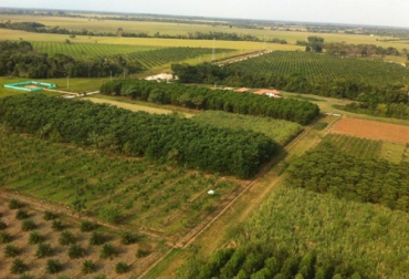 Un trabajo desarrollado entre Agrosavia y Ecopetrol en los Llanos Orientales, permitió demostrar que las aguas tratadas no afectan la producción agropecuaria. Foto: Agrosavia.co aguas tratadas, industria petrolera, ecopetrol, Agrosavia, Acacías, Castilla La Nueva, villavicencio, especies pecuarias, Orinoquía, investigación, consumo, Área de Sostenibilidad en Agroenergía, Ganadería, ganadería colombia, noticias ganaderas colombia, CONtexto ganadero