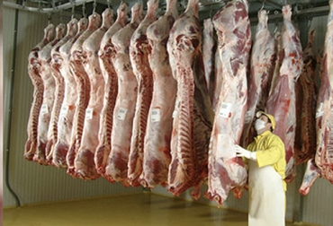 En el departamento del Meta le apuestan a tener cuatro plantas de beneficio animal con lo cual se puede satisfacer la demanda de la población por medio de un sacrificio que cumpla con toda la normatividad vigente. Foto: decibeles.com.co Meta, plantas de beneficio, sacrificio, Secretaría de Agricultura, Mesa de Racionalización de Plantas de Sacrificio, abastecimiento de carne, impacto regional, Mesetas, Puerto López, Cubarral, Acacías, ICA, Procuraduría agraria, Invima, Ganadería, ganadería colombia, noticias ganaderas colombia, CONtexto ganadero