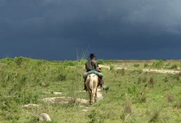 Los departamentos de Vichada, Casanare y Arauca quieren unirse para crear su RAP Llanos y desarrollar proyectos conjuntos en medio de la reactivación luego de la pandemia. Foto: senado.gov.co Arauca, Vichada, Casanare, rap, Llanos, ordenamiento territorial, senado, congreso, federación de departamentos, integración, consolidación, biodiversos, competitivos, resilientes, innovadores, Ganadería, ganadería colombia, noticias ganaderas colombia, CONtexto ganadero