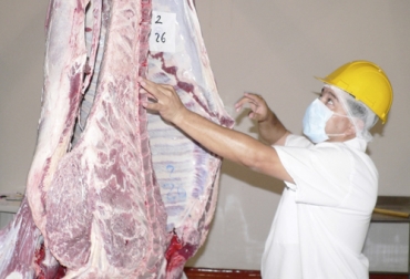 El Comité de ganaderos de Arauca invita a los productores a sacrificar sus animales en el nuevo frigomatadero de tal forma que se dinamice el negocio en la región. Foto: meridiano70.co Ganadería, ganadería colombia, noticias ganaderas, noticias ganaderas colombia, CONtexto ganadero, planta de transformación de carne, Arauca planta de transformación de carne, Frigomatadero de Arauca, sacrificio de ganado en Arauca, carne en canal de Arauca, carne en canal de Arauca a Bogotá, sector ganadero arauca, precios de ganado en arauca