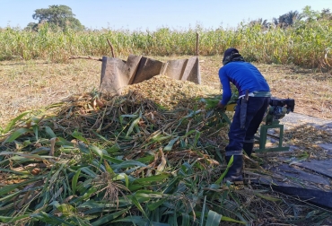 La idea es que los ganaderos puedan adquirir silo de calidad producido en el departamento. Foto: Gobernación de Casanare. Ganadería, ganadería colombia, noticias ganaderas, noticias ganaderas colombia, CONtexto ganadero, Casanare, Ganaderos del Casanare, silo de maíz casanare, ruv casanare, 240 toneladas de maíz cansare, ensilaje maíz casanare