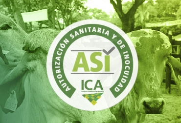 La ASI es una certificación que se otorga a los predios que producen animales con destino a sacrificio para consumo humano. Foto: ica.gov.co Autorización Sanitaria y de Inocuidad, Colombia, ICA, 020148 del 8 de agosto de 2016, Resolución 020148 del 8 de agosto de 2016, Autorización Sanitaria y de Inocuidad ASI, avances Autorización Sanitaria y de Inocuidad, avances ASI Antioquia, ganaderos, ganaderos colombia, ganado, bovinos, ganado bovino, Ganadería, ganadería colombia, noticias ganaderas, noticias ganaderas colombia, CONtexto ganadero, contextoganadero